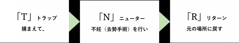 TNR活動